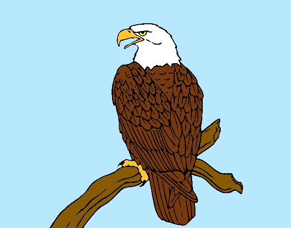 Dibujo Águila en una rama pintado por Assin