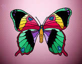 Dibujo Mariposa silvestre pintado por kharenluz