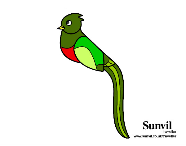 Dibujo Quetzal pintado por Assin