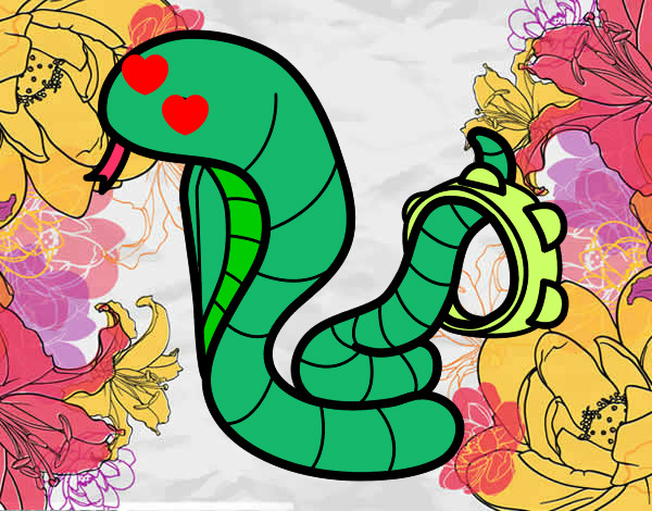 Dibujo Cobra con pandereta pintado por audora