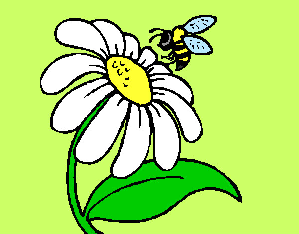 Dibujo Margarita con abeja pintado por JuanMar3