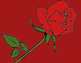 Dibujo Rosa pintado por erickbauti