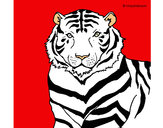 Dibujo Tigre 3 pintado por Ryuhakamy