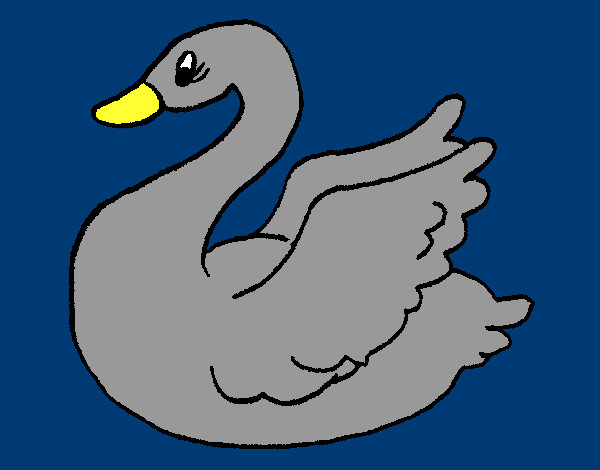 Cisne 2