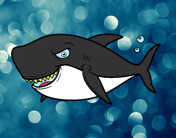 Dibujo Tiburón dentudo pintado por Marco1202