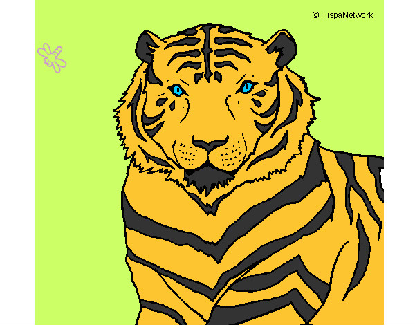 Dibujo Tigre 3 pintado por hghy