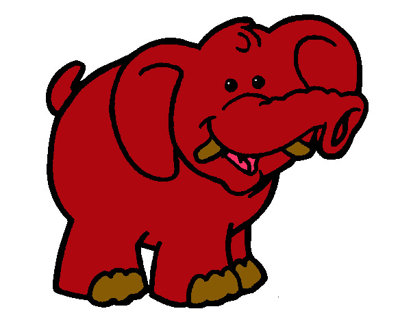 Elefante 6