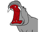 Dibujo Hipopótamo con la boca abierta pintado por ivanmoren