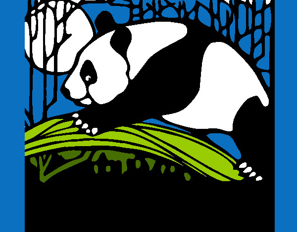 Dibujo Oso panda comiendo pintado por etsuko