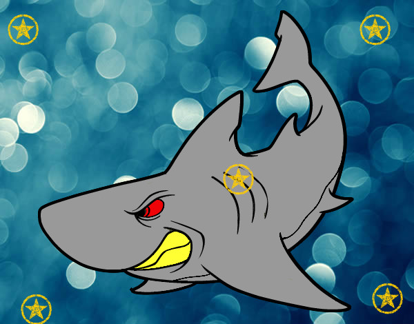 Dibujo Tiburón enfadado pintado por kikass