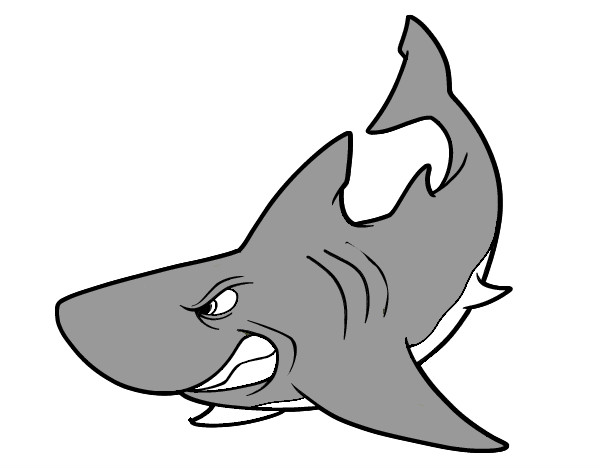 Dibujo Tiburón enfadado pintado por lipaalgo