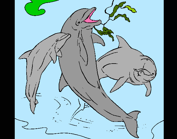 Dibujo Delfines jugando pintado por rafamarin4