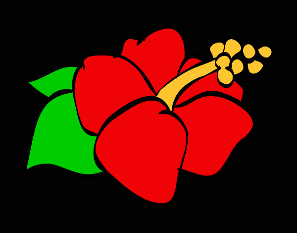 Dibujo Flor de lagunaria pintado por TAFFIE