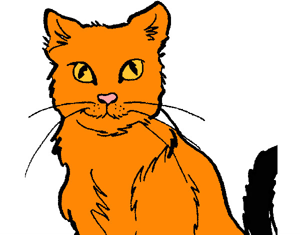 Dibujo Gato 2 pintado por nickiguai