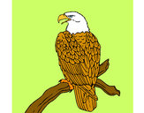 Dibujo Águila en una rama pintado por flore777