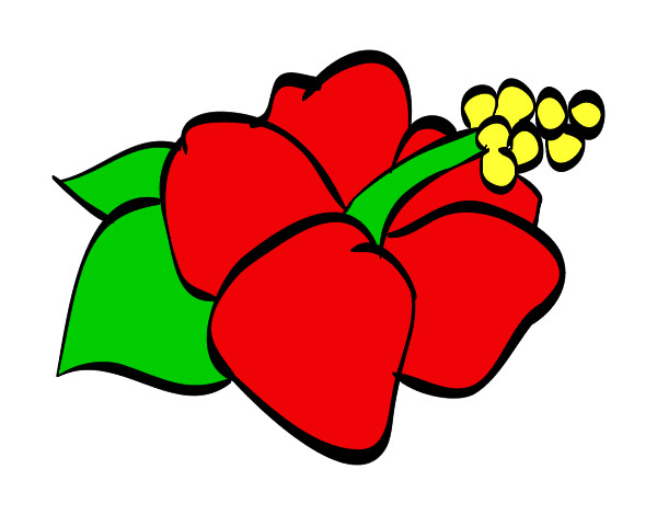 Dibujo Flor de lagunaria pintado por clau1234