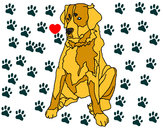 Dibujo Labrador pintado por flore777