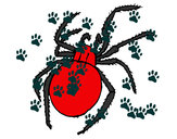 Dibujo Araña venenosa pintado por anasalazar