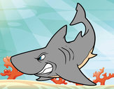 Dibujo Tiburón enfadado pintado por DEMIAN4