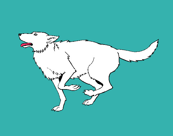 Dibujo Perro corriendo pintado por amy-lira 