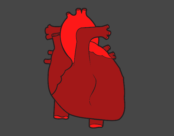 Corazón humano