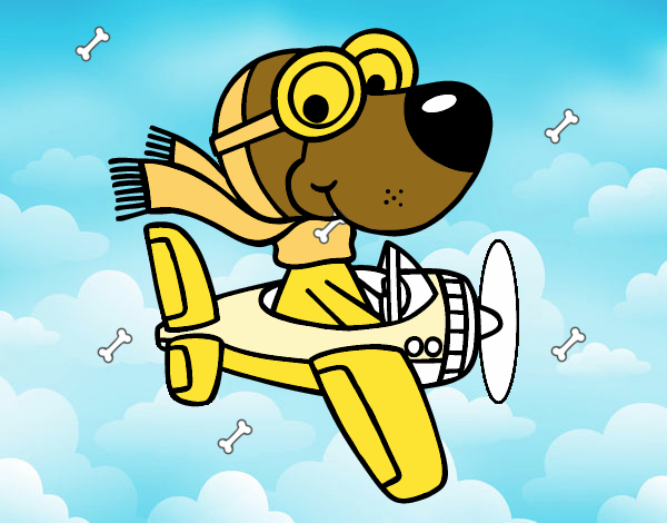 Perro piloto