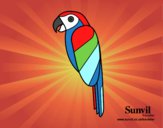 Dibujo Pájaro Guacamayo pintado por carlito1