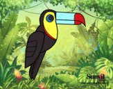 Dibujo Pájaro Tucán pintado por carlito1
