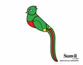 Dibujo Quetzal pintado por dinazoppol