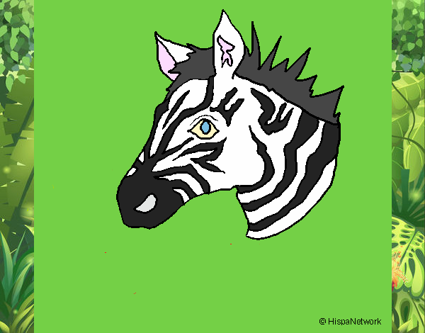 se llamará.... zebrii