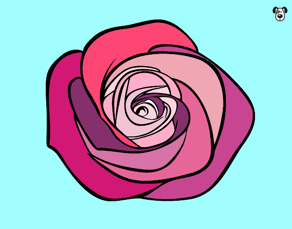 Dibujo Flor de rosa pintado por Filippo