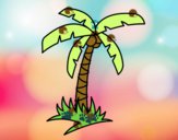 Dibujo Palmera tropical pintado por Filippo