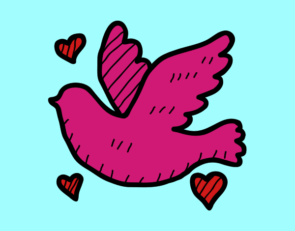 la paloma del amor