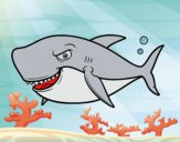 Dibujo Tiburón dentudo pintado por queyla