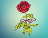 Dibujo Una rosa pintado por janaberta