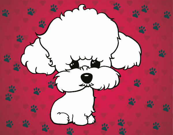 Dibujo Cachorro de poodle pintado por tilditus