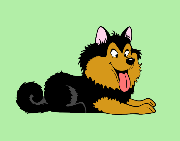 Dibujo Husky cachorro pintado por ojodehorus
