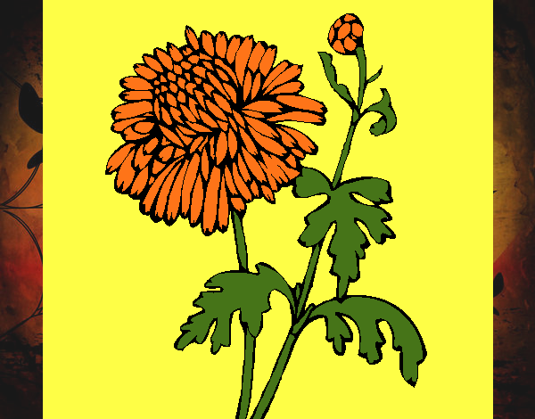 Dibujo Zinnia pintado por tilditus