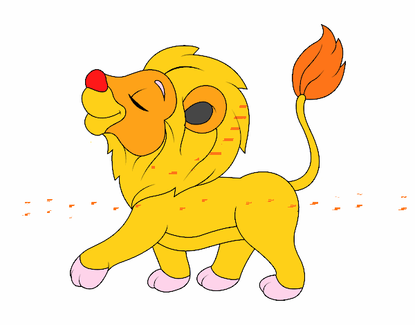 se  llama  timoteo  mi  leon