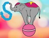 Dibujo Elefante equilibrista pintado por SinaiV