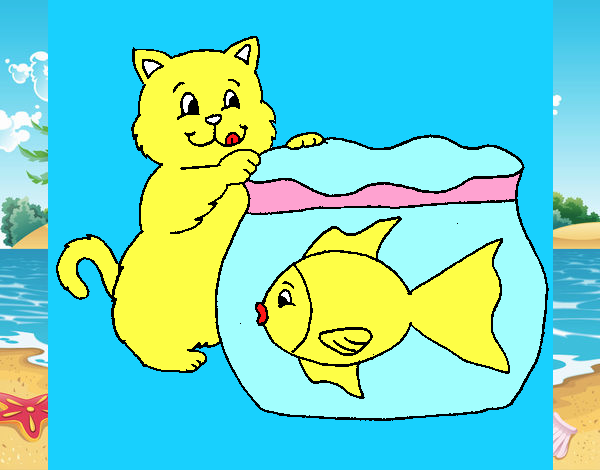 Gato y pez