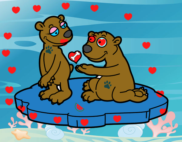 Pareja de osos enamorados