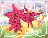 Dibujo Flores de lilium pintado por RubyHelena