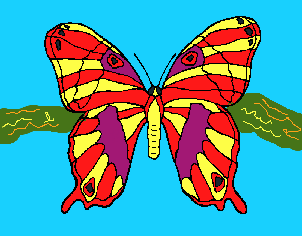 Dibujo Mariposa 7a pintado por DEMIAN4