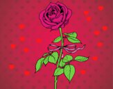 Dibujo Una rosa pintado por estefy18