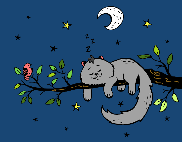 Dibujo El gato y la luna pintado por esmelu