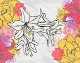 Dibujo Flores de lilium pintado por gabrielars