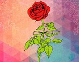 Dibujo Una rosa pintado por kariett
