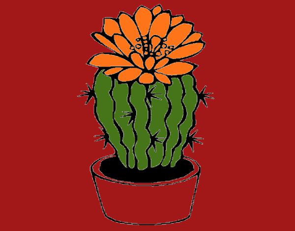 Dibujo Cactus con flor pintado por tilditus