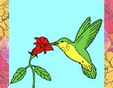 Dibujo Colibrí y una flor pintado por nevulosa
